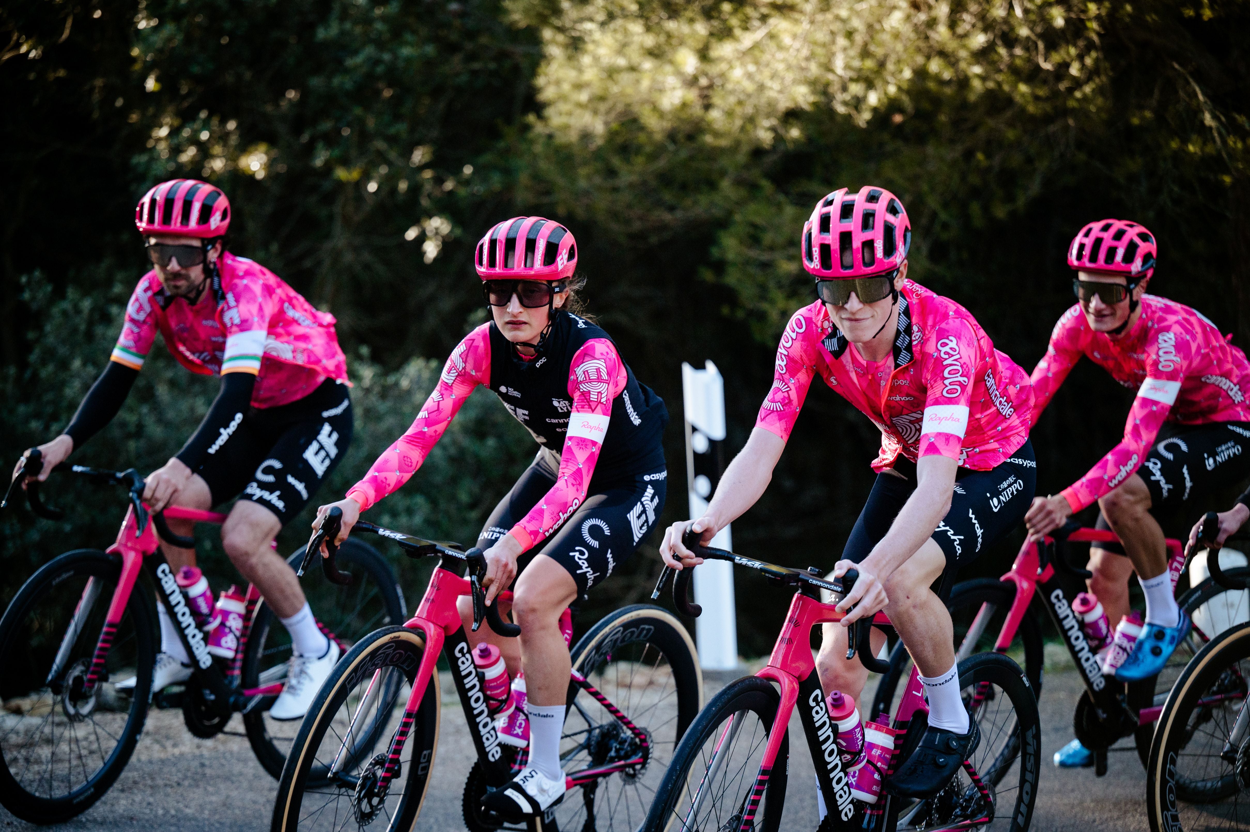 www.efbike.com